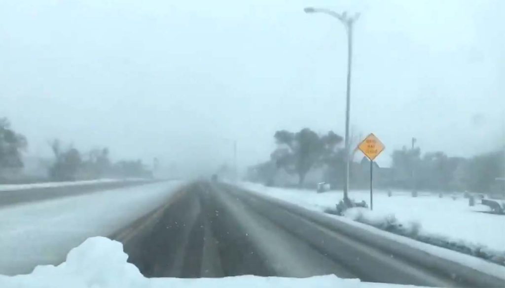 Texas Blanketed in Rare Snow, Suffers Whiteout Conditions Local