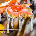Record-Breaking November Cold Follows Hottest October on Record
