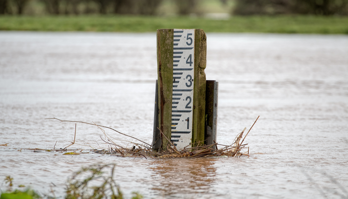 february-extremes-rainfall-totals-confound-meteorologists-local