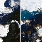 Antarctica Heat Wave Melts 20% of Island’s Snow in 9 Days