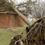 See: Destructive Winds Cause Damage and Power Outages
