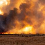 Wildfire Smoke and Your Respiratory Health: What You Must Know