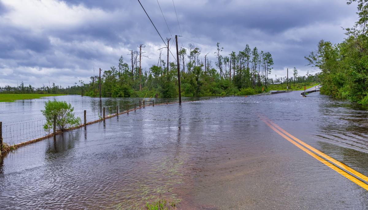 Hurricane Warning in Florida as Eta to Make Second Landfall Local