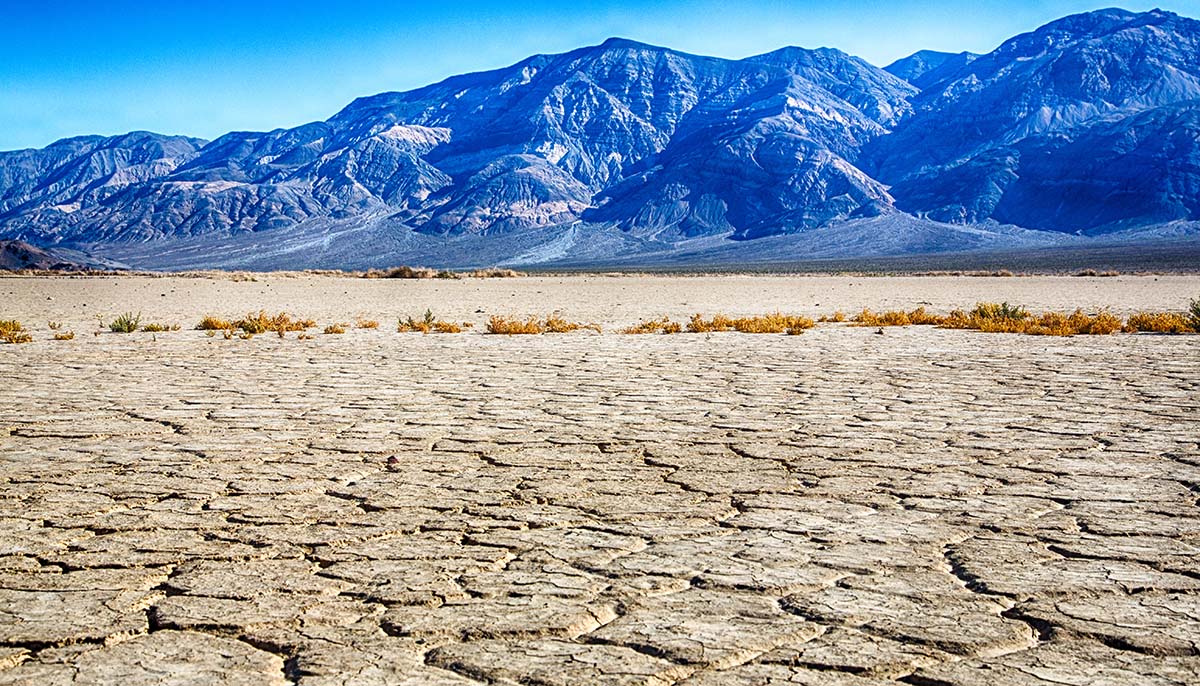 us-could-be-entering-megadrought-most-severe-in-modern-history-local